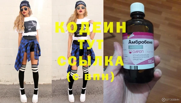 метадон Кодинск
